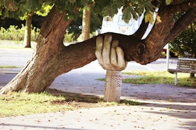 Pflege - Unterstützende Hand für Baum