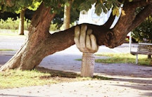 Pflege - Unterstützende Hand für Baum