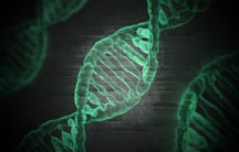 DNA Genetischer Code