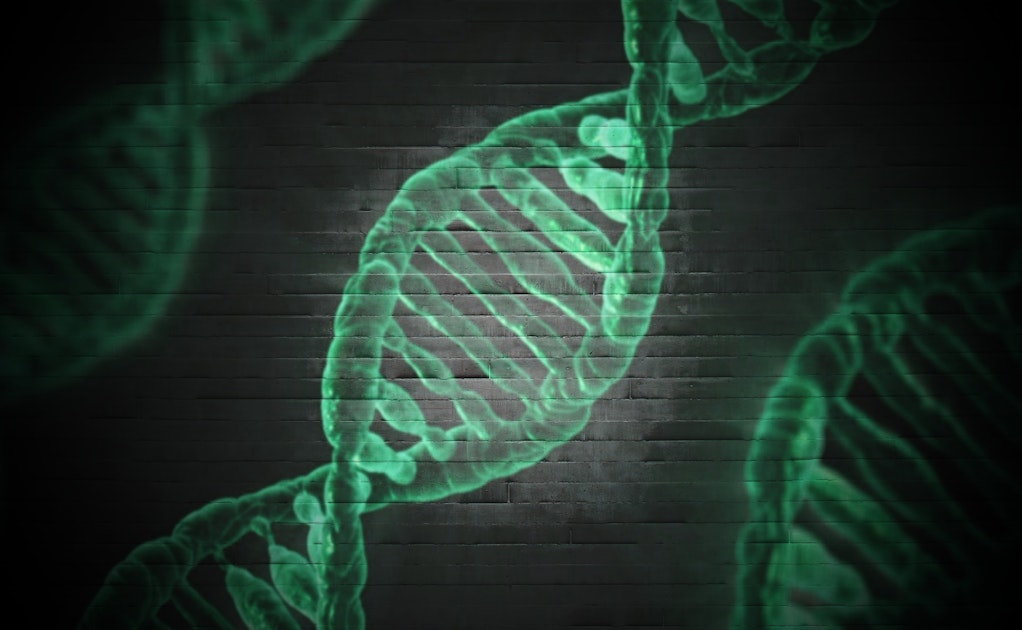 Vor 50 Jahren geknackt: Der genetische Code - academics