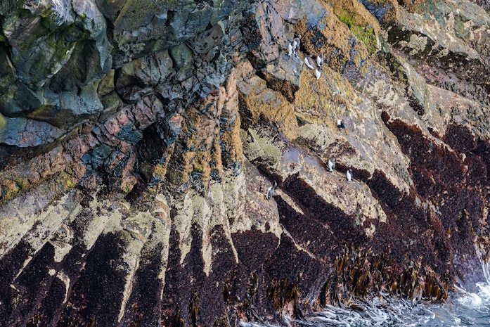 Felsen Symbolbild Geowissenschaften Berufe Berufsaussichten