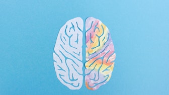 Gehirn als Symbolbild fuer Aufgaben Professur