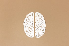 Gehirn als Symbolbild für Wirtschaftspsychologie Gehalt