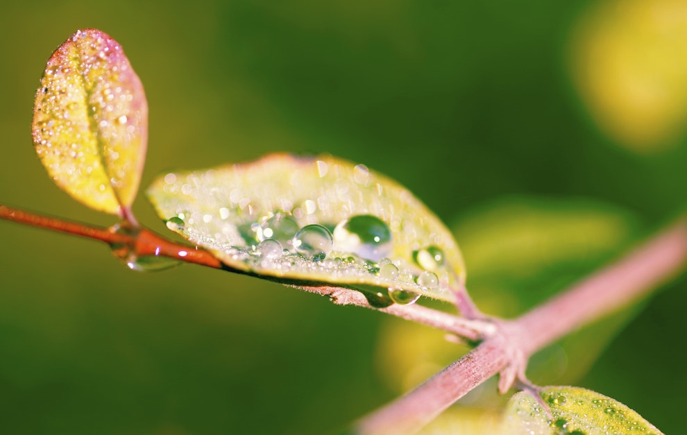 Biotechnologie Gehalt Wie Viel Verdient Ein Biotechnologe Academics
