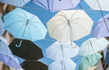 Regenschirm Symbolbild Postdoc Stipendium